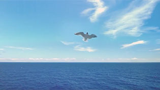 Locamahal Veliefendi TV Reklamı - 2